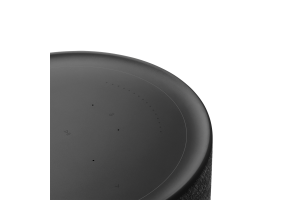 Beosound Balance Black oak